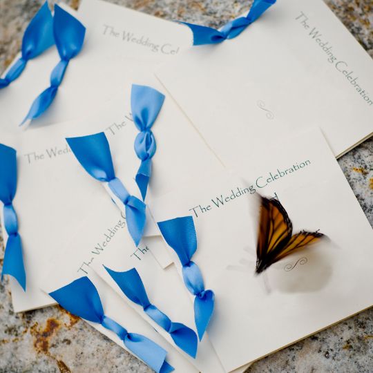 Program covers decorated
with blue ribbon. A butterfly sits on one of them