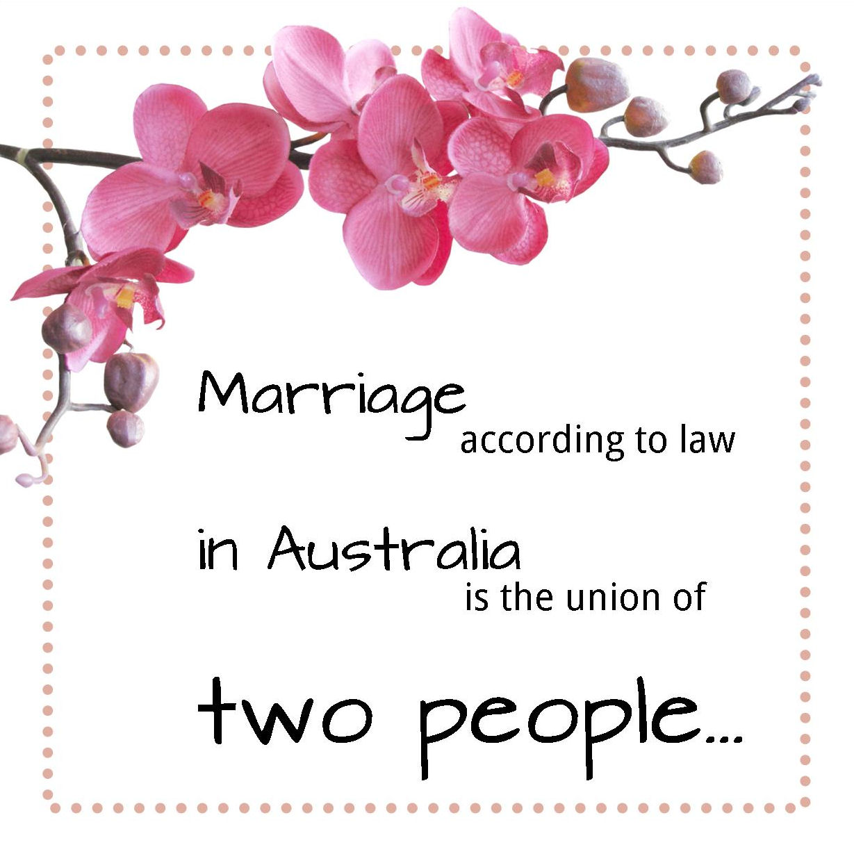 Pink cymbidium orchid
spray with the words Marriage according to law in
Australia is the union of two people