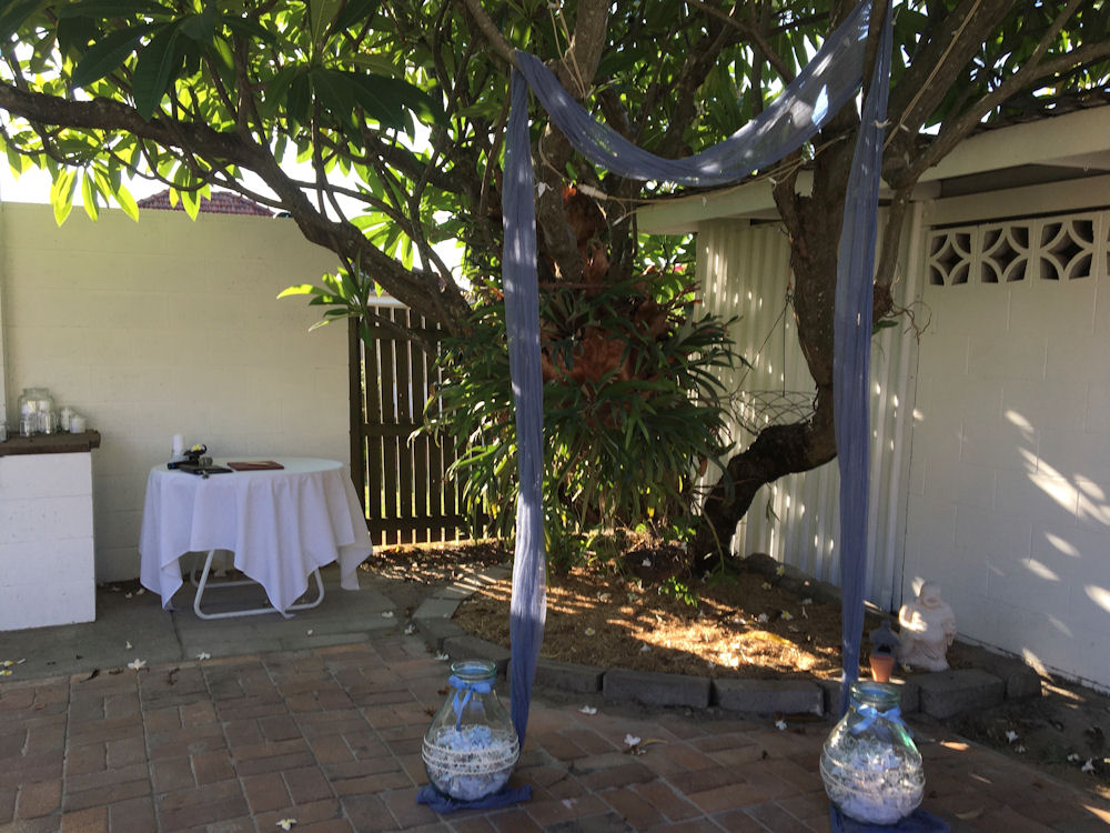 Frangipani Tree draped with fabric to create
a ceremony backdrop